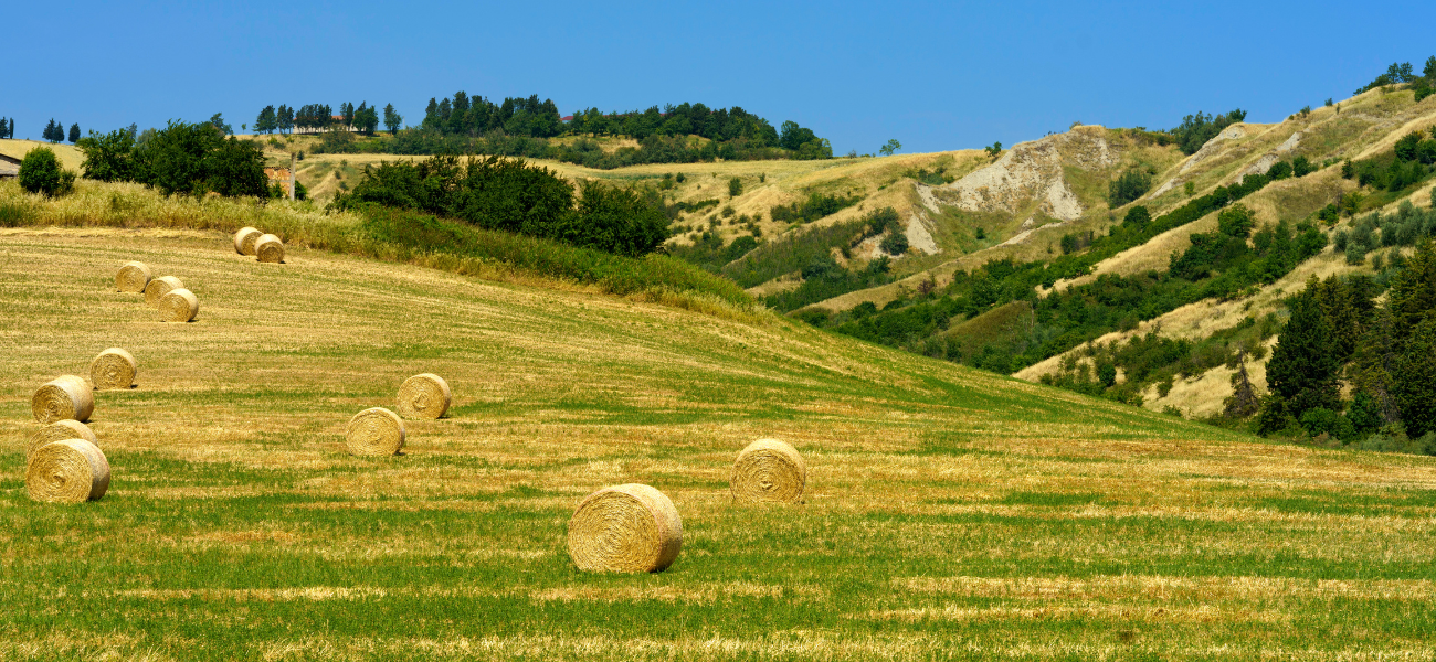 castrocaro terra del sole